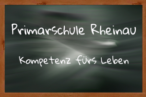 Primarschule Rheinau: Kompetenz fürs Leben